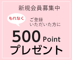 和食器通販　有田焼、波佐見焼のセレクトショップ　金照堂　会員募集